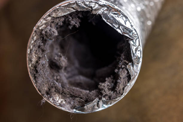 Best HVAC System Cleaning  in Southside, AL