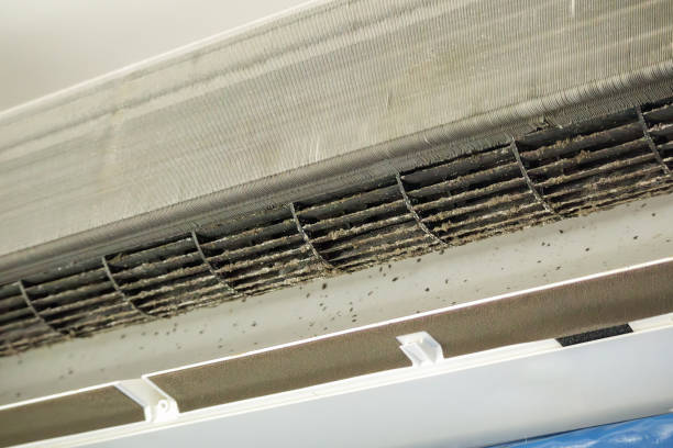 Best Affordable HVAC Duct Cleaning  in Southside, AL